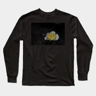 White rose blossom with bright yellow center on black background Long Sleeve T-Shirt